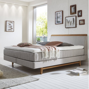 BRAYDEN STUDIO Boxspringbett Sevanna 160 x 200 cm mit Topper