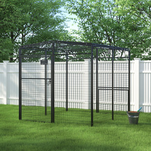 ARCHIE & OSCAR™ Epsilon 48.75 Square Feet Walk In Chicken Run For Up To 5 Chickens