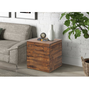 WADE LOGAN Gately Accent Trunk