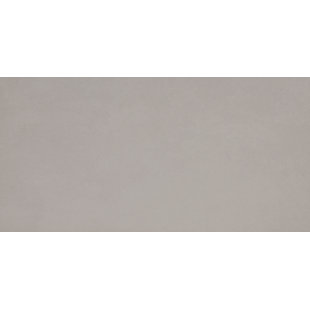EMSER TILE Citizen™ 12" x 24" Porcelain Concrete Look Wall & Floor Tile
