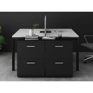 FRIANT My-Hite Metal Vertical Filing Cabinet with 2 Drawers, 4 Casters, Interlock System