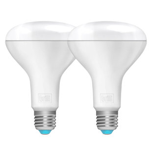 BRILLI WELLNESS LIGHTING Charge Up 65 Watt Equivalent BR30 E26/Medium (Standard) Dimmable 5000K LED Bulb (Set of 2)