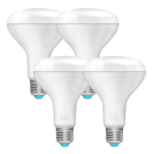 BRILLI WELLNESS LIGHTING Charge Up 65 Watt Equivalent BR30 E26/Medium (Standard) Dimmable 5000K LED Bulb (Set of 4)