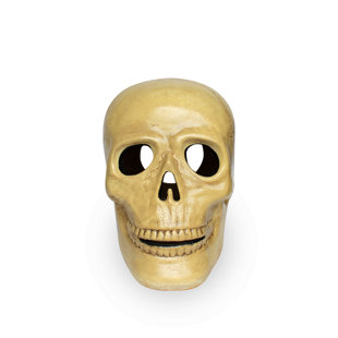 TIERRA FIRME Scary Skull