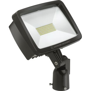 Lithonia Lighting Outdoor LED Flood Light