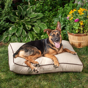 TUCKER MURPHY PET™ Flory Pillow Dog Bed