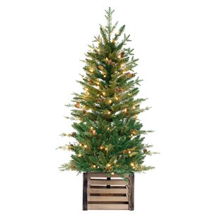 THREE POSTS™ 48" H Green Realistic Artificial Fir Christmas Tree with 100 Lights and Pinecones