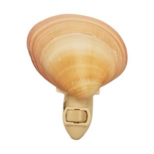 THE SEASHELL COMPANY Clam Shell LED Night Light