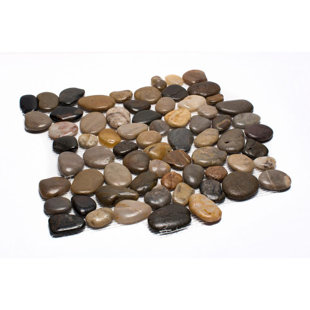MARGO GARDEN PRODUCTS Rainforest Natural Stone Pebbles Mosaic Wall & Floor Tile
