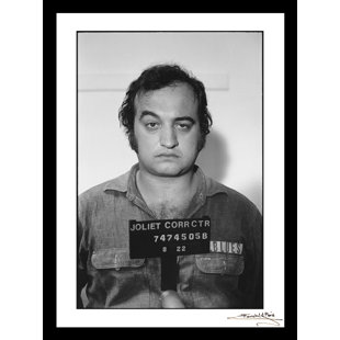 VENICE BEACH COLLECTIONS " JOHN Belushi Blues Bros Mugshot' "
