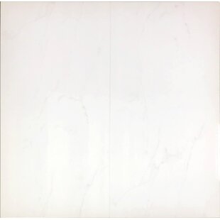 BELLA VIA Festiva Carrara 12" x 24" Field Tile , Glossy Finish , White Background w/ Grey Marble Veins