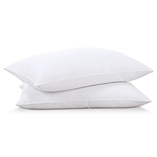 SYMPLE STUFF Ramessu Feathers Medium Support Pillow (Set of 2)