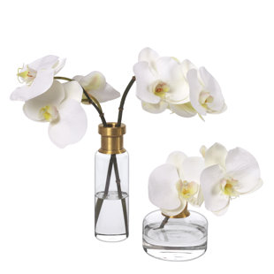 DIANE JAMES HOME Phalaenopsis Orchid Set in Glass Vases
