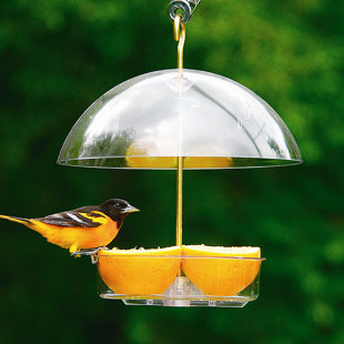 DROLL YANKEES, INC Tray Bird Feeder