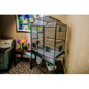TUCKER MURPHY PET™ Chaquetta 61'' Iron Flat Top Flight Cage with Wheels