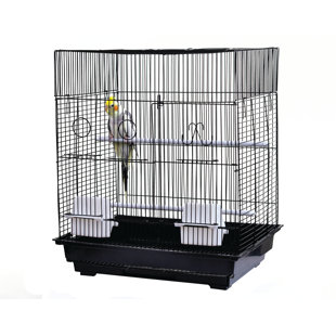TUCKER MURPHY PET™ Chenique 22" Iron Flat Top Table Top Bird Cage