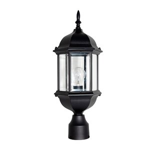 ALCOTT HILL® Castellanos Transparent Lantern Head