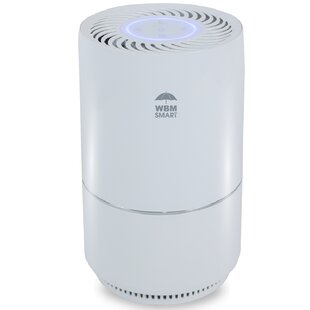 WBM Smart Air Purifier, 3-Stage Filtration with HEPA filter For 1440 Cubic Feet