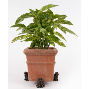 JARDINOPIA Sheep Bronze Coloured Planter Feet In Gift Box (Set of 3)