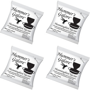 HUMMERS GALORE Hanging Hummingbird Feeder (Set of 4)