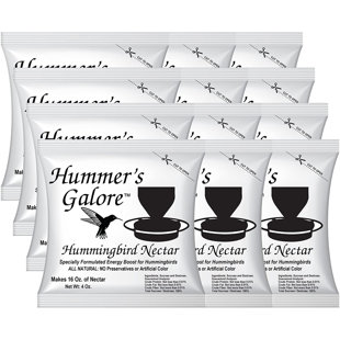 HUMMERS GALORE Hummingbird Feeder (Set of 12)