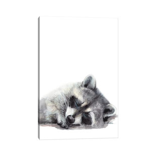 ICANVAS Woodland Sleeping Raccoon by Watercolor Luv - Wrapped Canvas Gallery-Wrapped Canvas Giclée