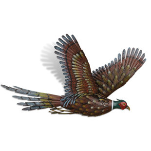 REGAL ART & GIFT Metal Pheasant Wall Decor