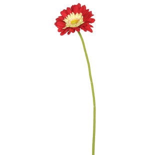AUGUST GROVE® Daisy Stems, Bushes, And Sprays Arrangement (Set of 6)