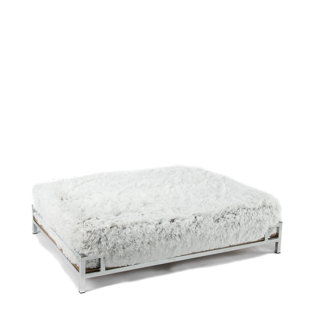 EVERLY QUINN Iliana Polyester Pet Bed