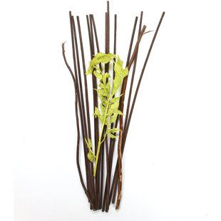 HG GLOBAL Botanical Reed Set (Set of 3)