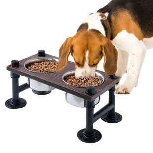 WELLAND LLC 5 Cups Elevated Feeder
