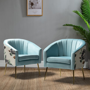 WILLA ARLO™ INTERIORS Radel Upholstered Barrel Chair (Set of 2)