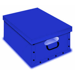 REBRILLIANT Aufbewahrungsboxen-Set (Set besteht aus 2)