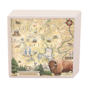 XPLORER MAPS No Pattern Square Coaster (Set of 4)