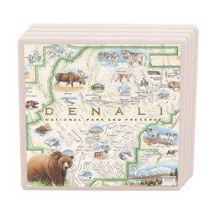 XPLORER MAPS No Pattern Square Coaster (Set of 4)