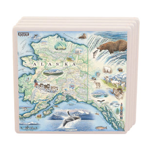 XPLORER MAPS No Pattern Square Coaster (Set of 4)