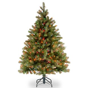 NATIONAL TREE COMPANY Downswept Douglas Fir Tree with Clear Lights