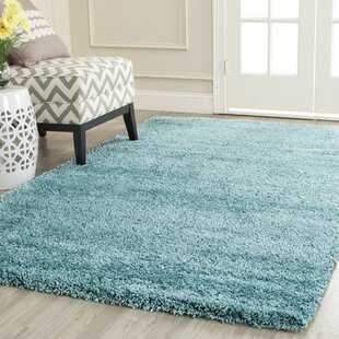 BRAYDEN STUDIO Fintan Solid Colour Machine Woven Area Rug