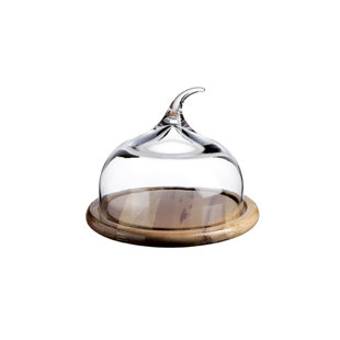 Turgla Home Senses 8.5'' Glass Cover