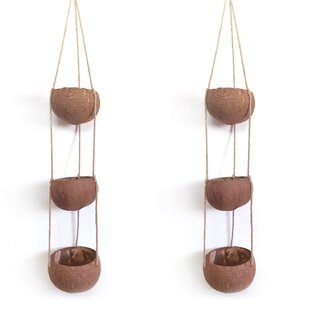 RAINFOREST BOWLS Wood Hanging Planter