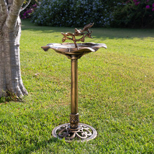 FLEUR DE LIS LIVING Scottsmoor Plastic/Acrylic Standard Birdbath