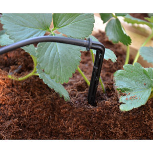 CANOPIA BY PALRAM Drip Irrigation Kit