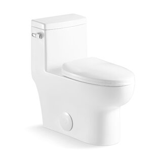 CHEETAH SOURCING Dual-Flush Elongated One-Piece Toilet (Seat Included)