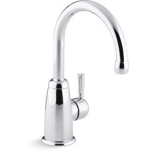 KOHLER Wellspring Single Handle Beverage Faucet