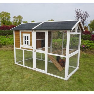 ARCHIE & OSCAR™ Tincher 33.2 Square Feet Chicken Coop with Chicken Run For Up To 6 Chickens