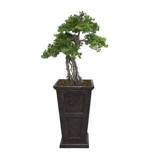 VINTAGE HOME Panama Artificial 55" Tall Bonsai Tree in Planter