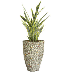 VINTAGE HOME Panama 49" Artificial Agave Tree in Planter