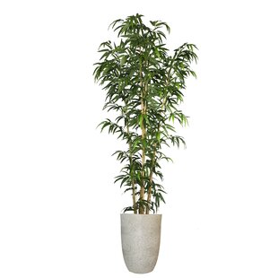 VINTAGE HOME Abingt Artificial Faux Real Touch 80" Tall Bamboo Tree With Natural Poles And Fiberstone Planter