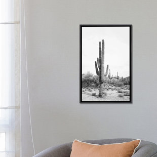 ICANVAS Desert Cactus In Black & White by Sisi and Seb - Graphic Art Print