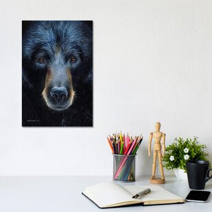 ALPEN HOME Black Bear I by Sarah Stribbling - Print on Canvas